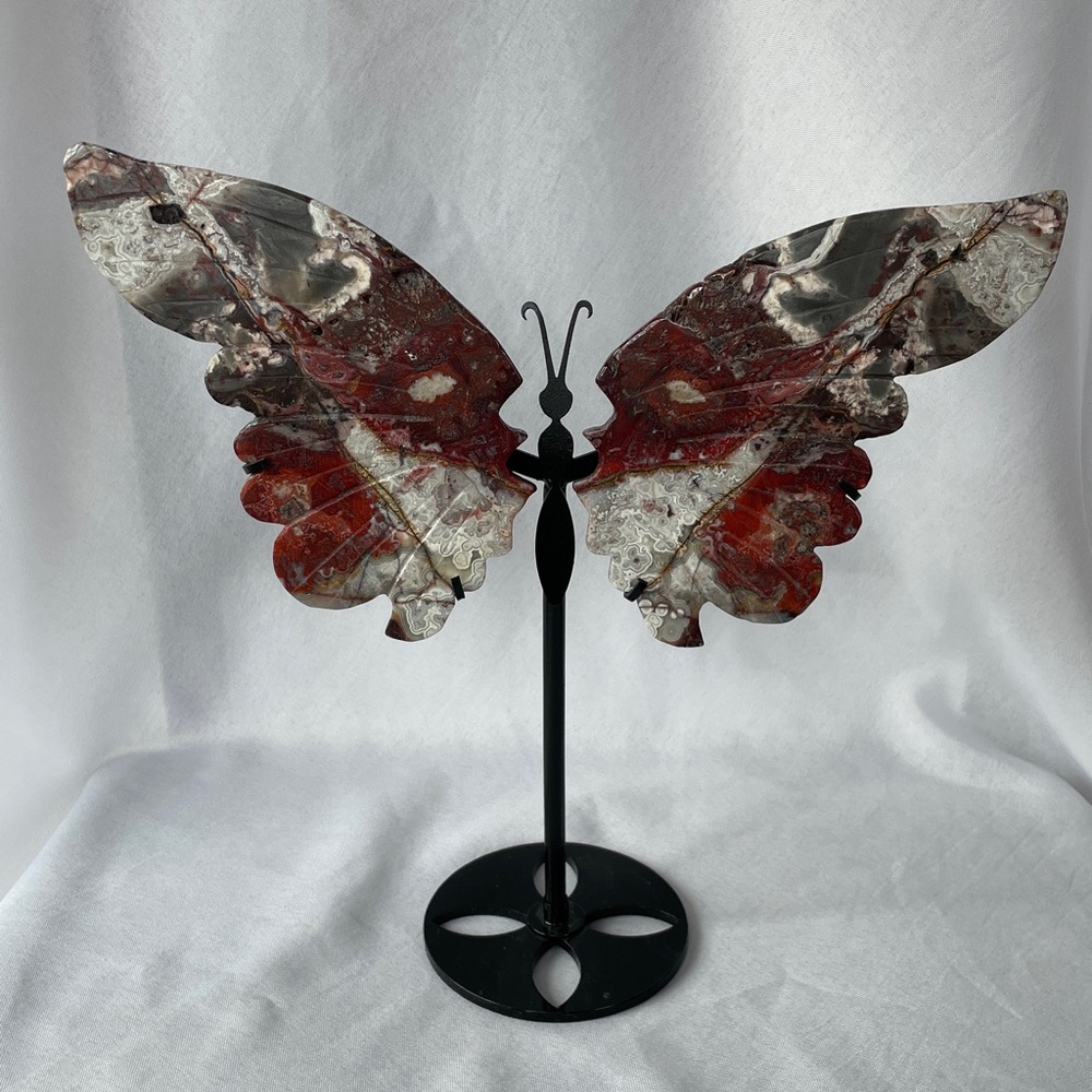 Huge Mexican Crazy Lace Agate Carved Butterfly Wings With Custom Stand
